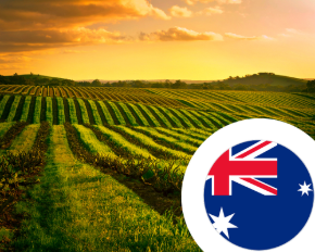 Imagem para a categoria Austrália STA