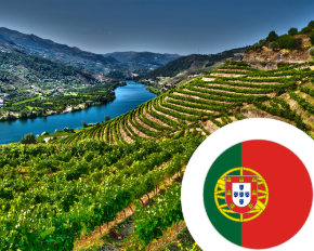 Imagem para a categoria Portugal STA