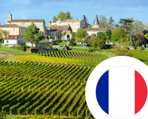 Imagem para a categoria França STA