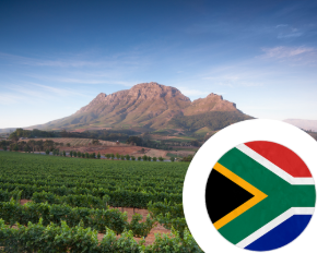 Imagem para a categoria Africa do Sul STA