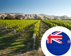 Imagem para a categoria Nova Zelândia STA